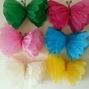 farfalle-per-vetrine-porimavera